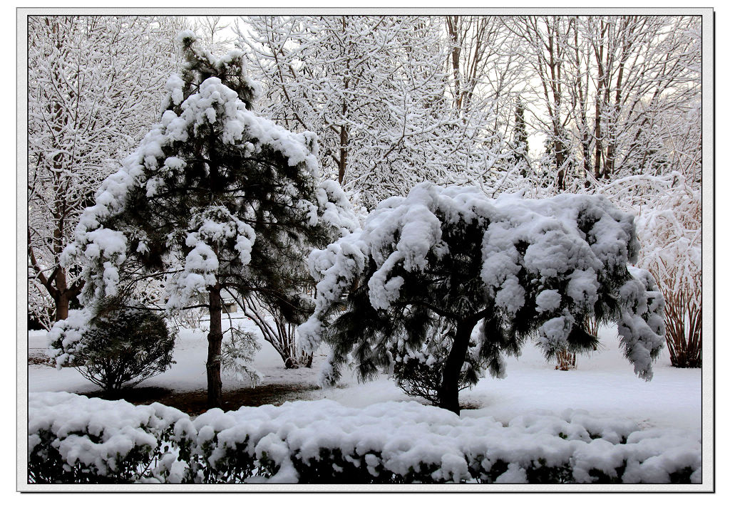 地坛《春雪》（10）.jpg