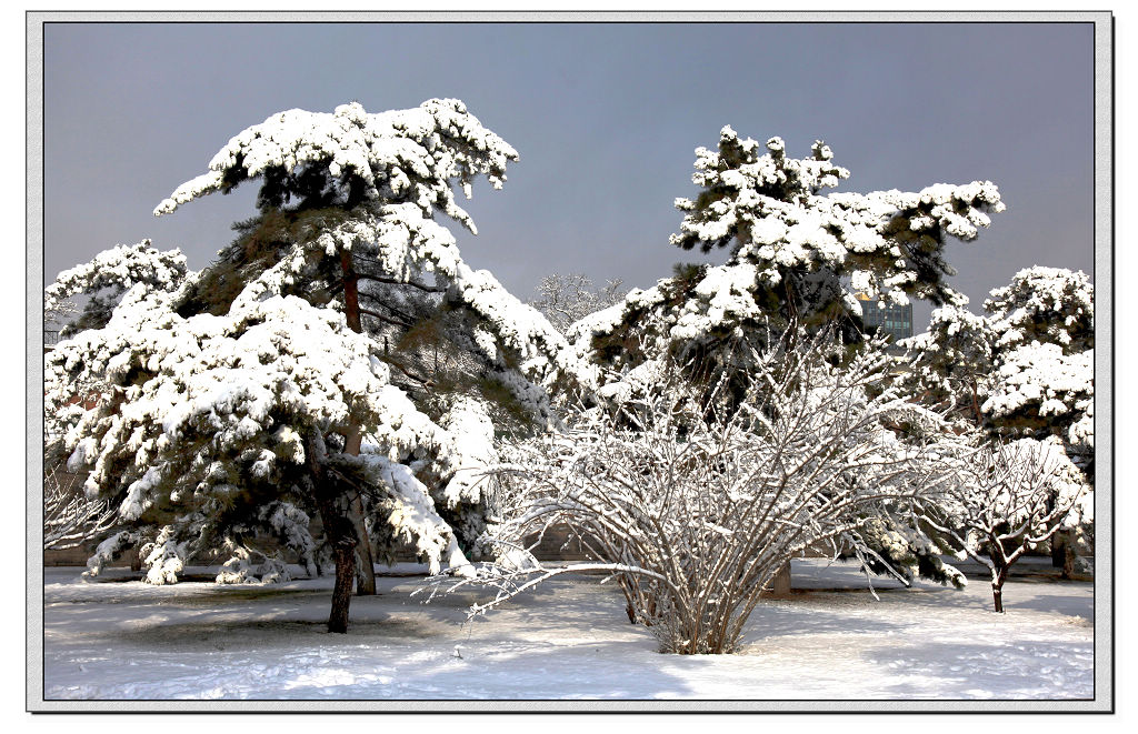 地坛《春雪》（9）.jpg