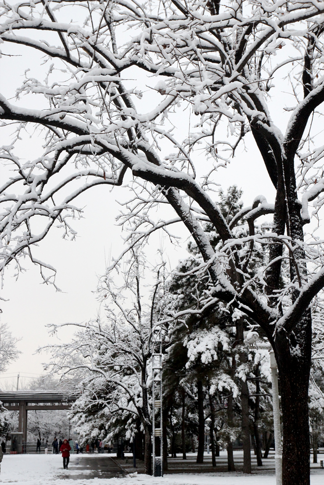 雪景-02.jpg