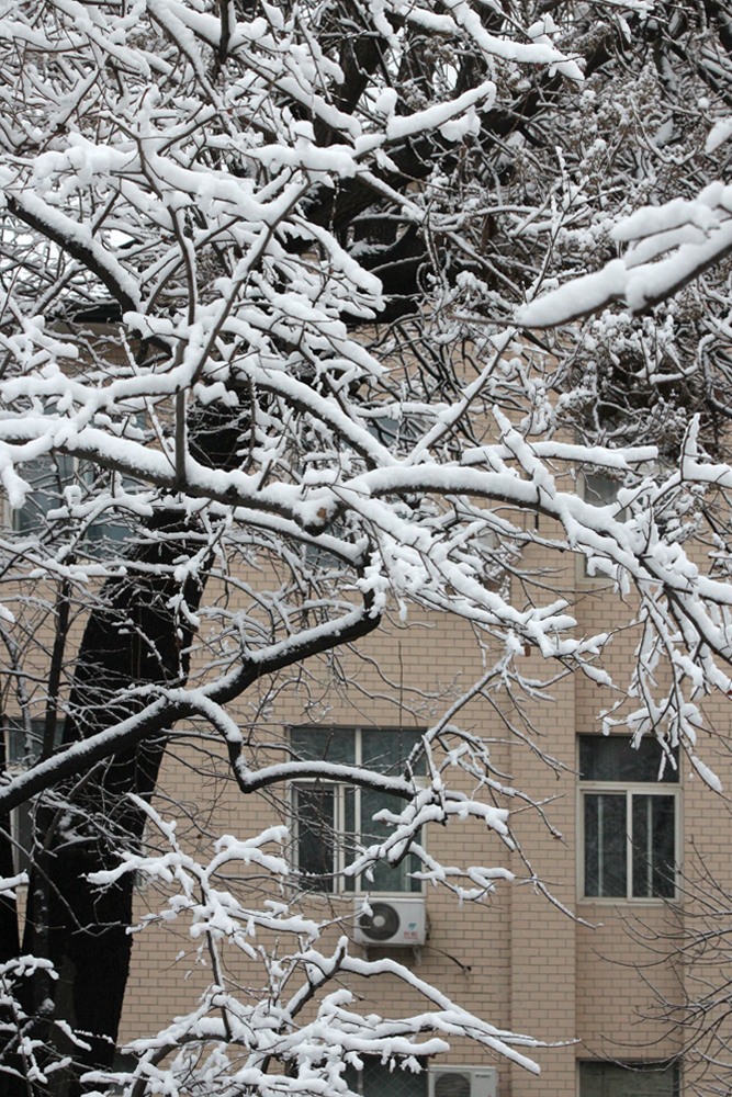 雪景-03.jpg