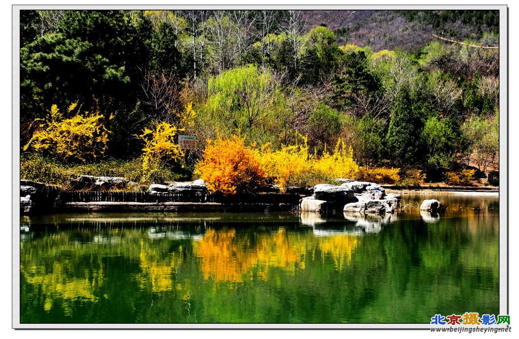 植物园《春景》.jpg