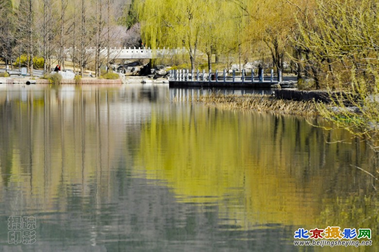 10_20120331-植物园-春暖花开.jpg