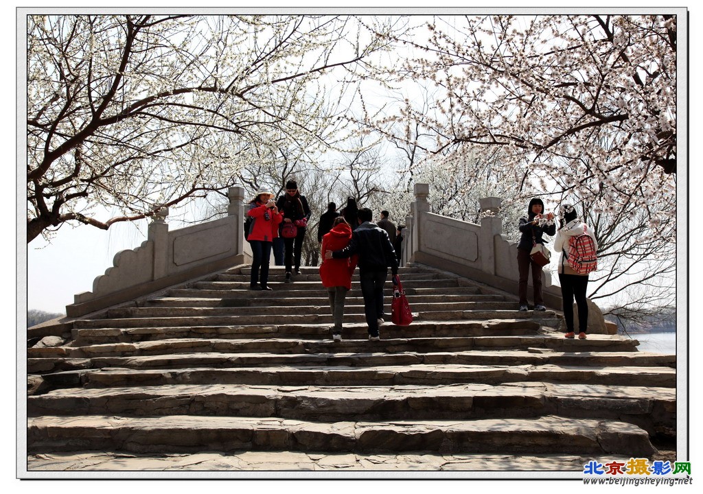 颐和园《春景》（5）.jpg