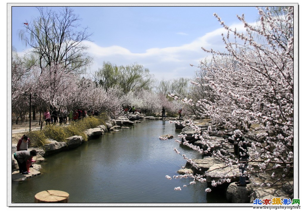 植物园《桃花春色》（2）.jpg