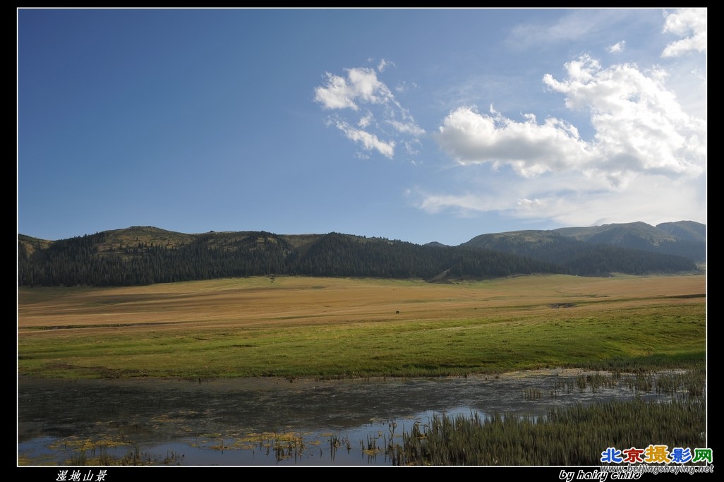 湿地山景.jpg