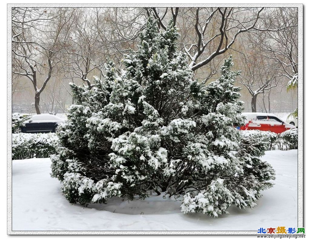 社区雪景（7）.jpg