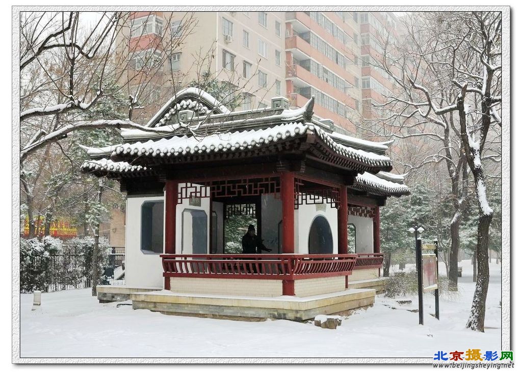 社区雪景（3）.jpg