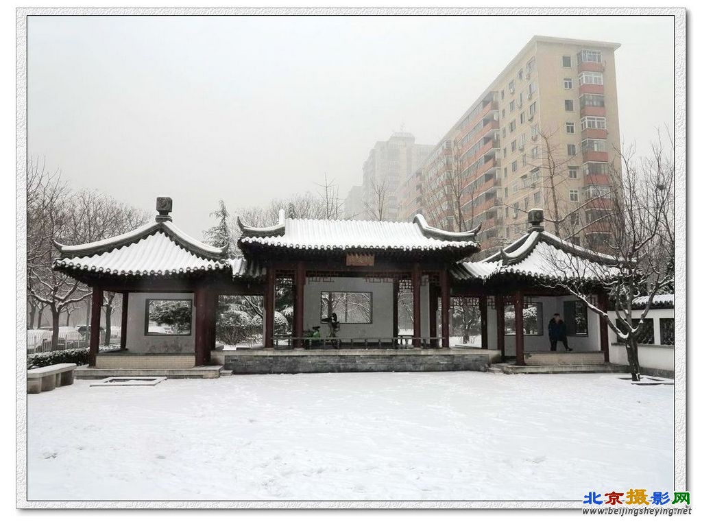 社区雪景（1）.jpg