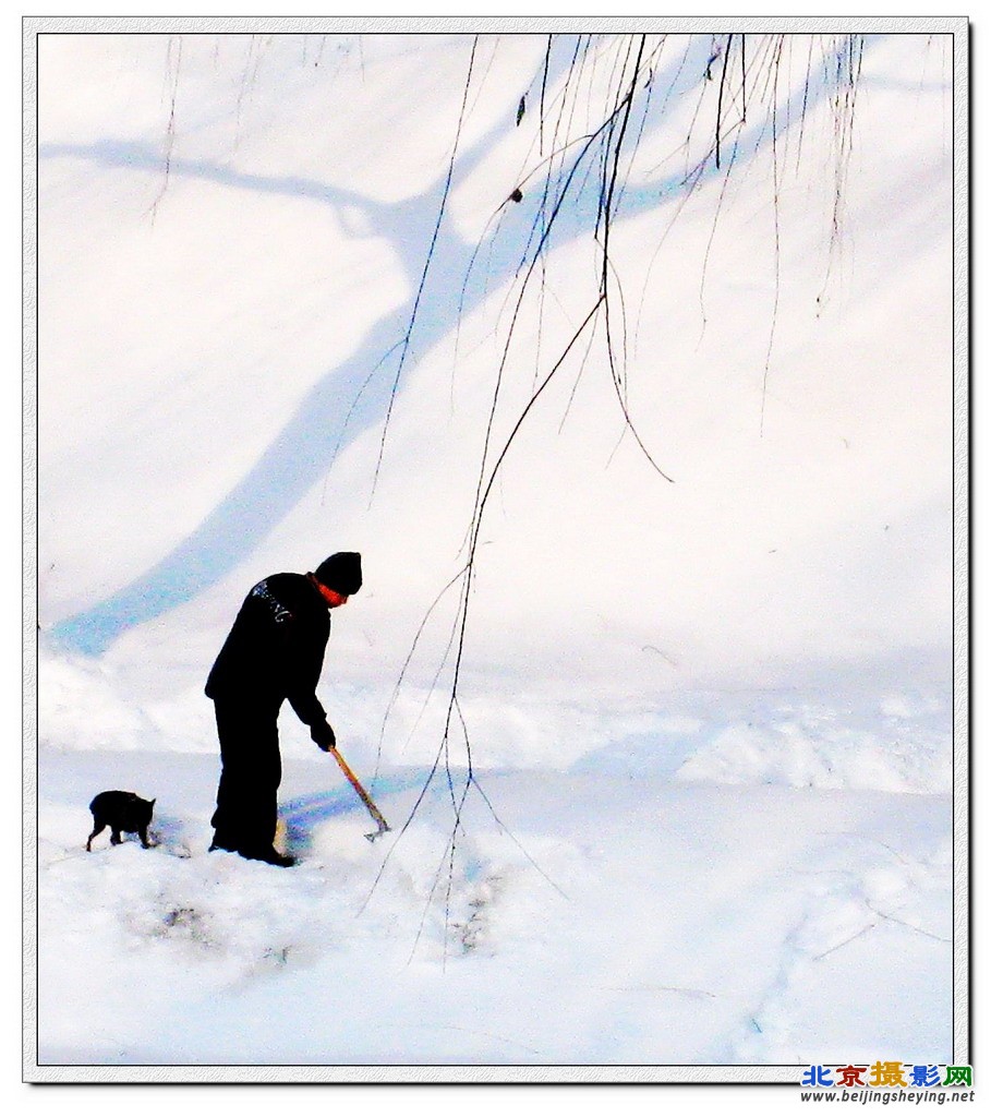 晨雪.jpg