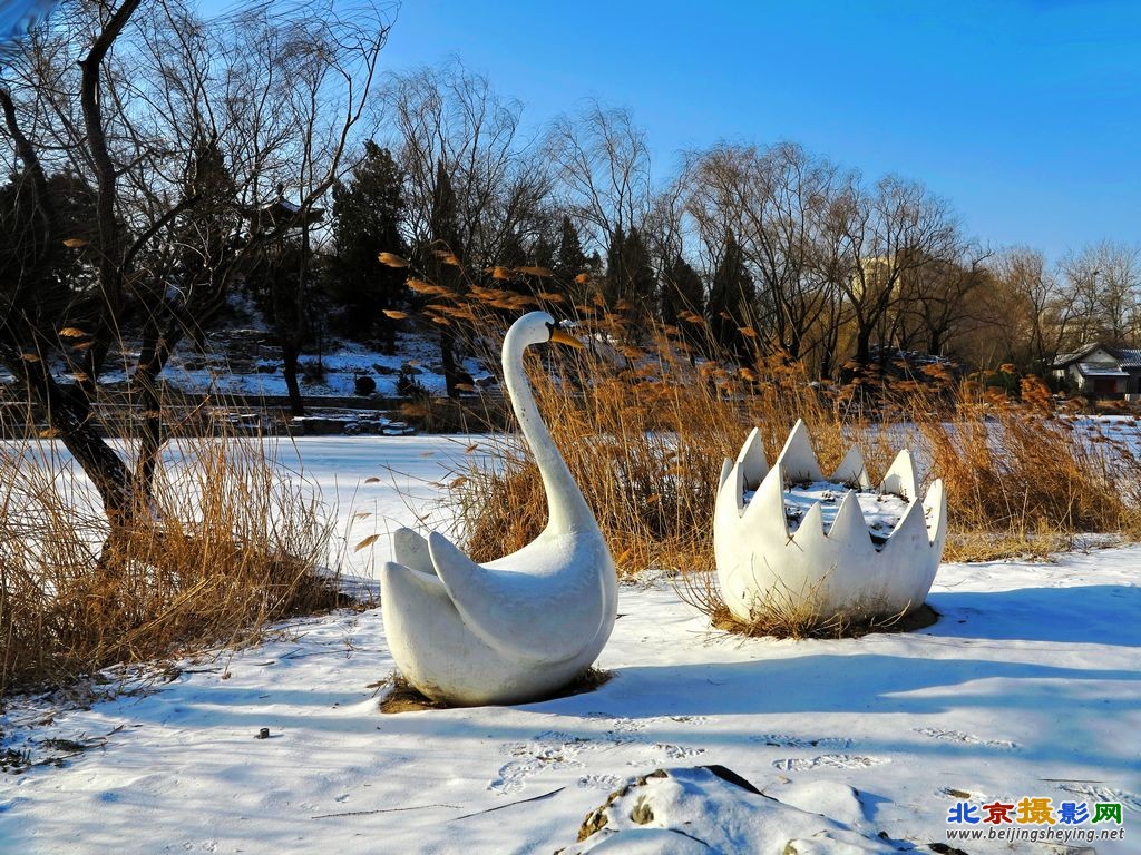 柳荫雪景（5）.jpg