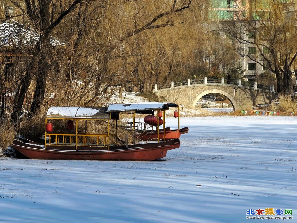 柳荫雪景（4）.jpg