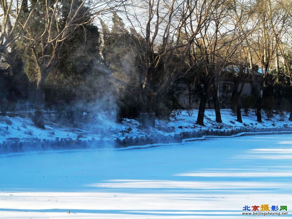 柳荫雪景（3）.jpg