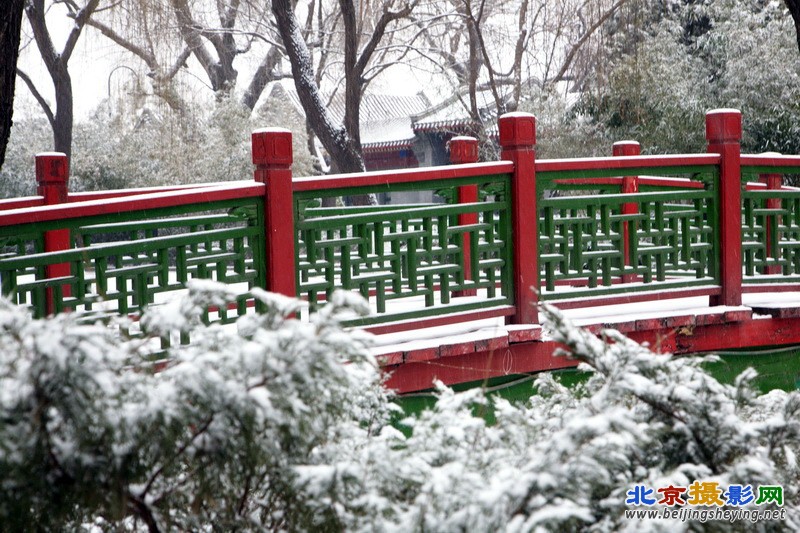 2013年1月20日北京东城区 菖蒲河雪景_31.jpg