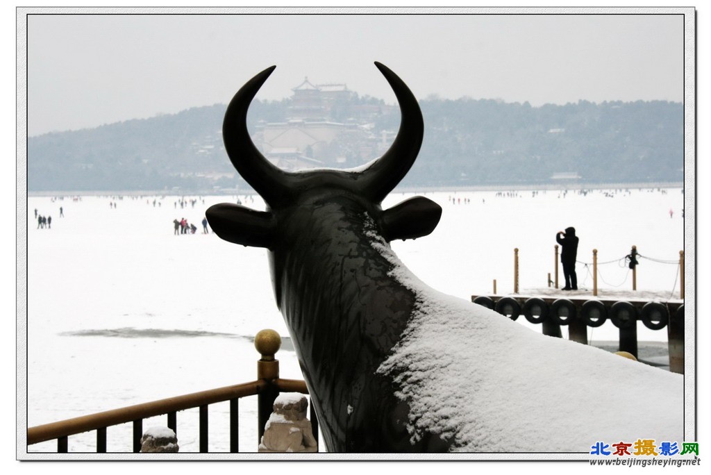 铜牛观雪景.jpg