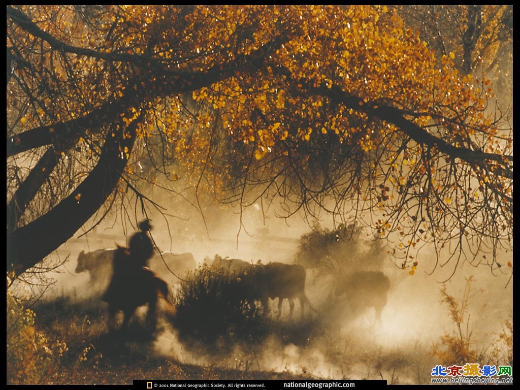 Grand Staircase-Escalante National Monument, Utah1.jpg