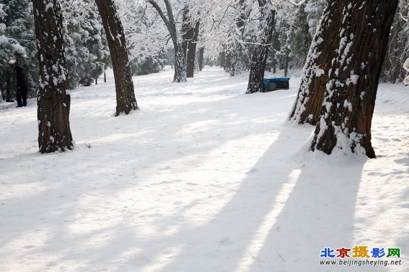 2013年3月20日北京东城区天坛公园雪景_014.jpg