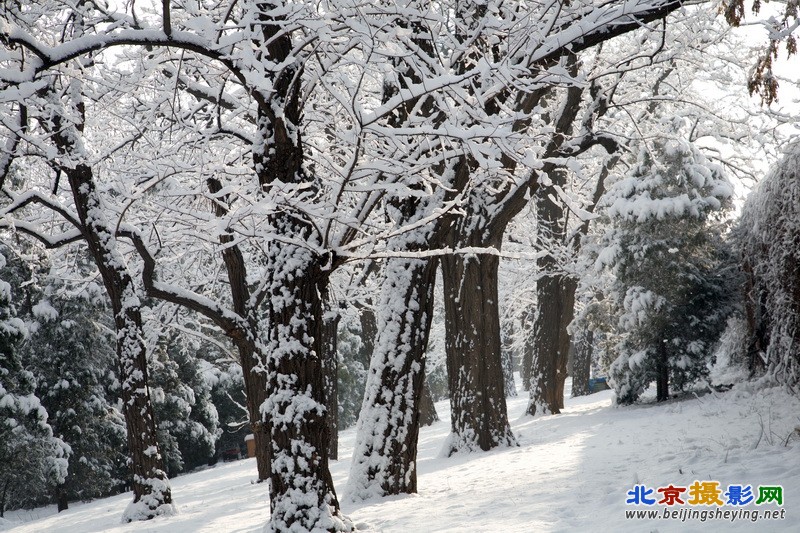 2013年3月20日北京东城区天坛公园雪景_011.jpg