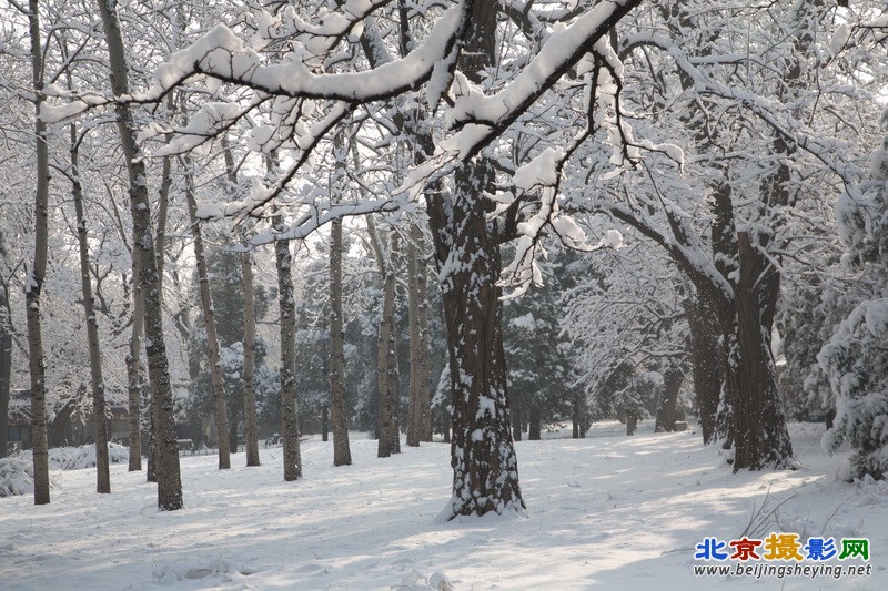 2013年3月20日北京东城区天坛公园雪景_021.jpg