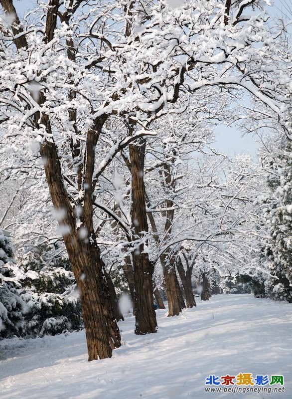 2013年3月20日北京东城区天坛公园雪景_024.jpg