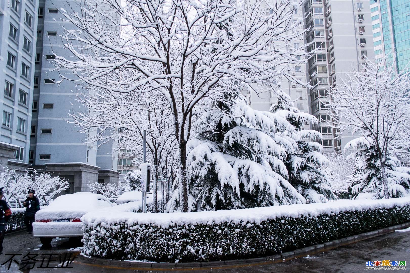 2013-3-20春雪 018.jpg