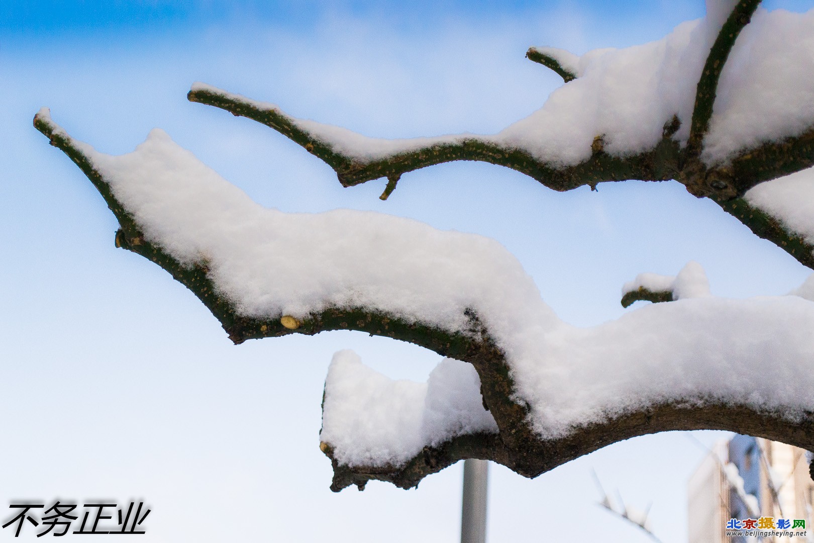 2013-3-20春雪 037.jpg