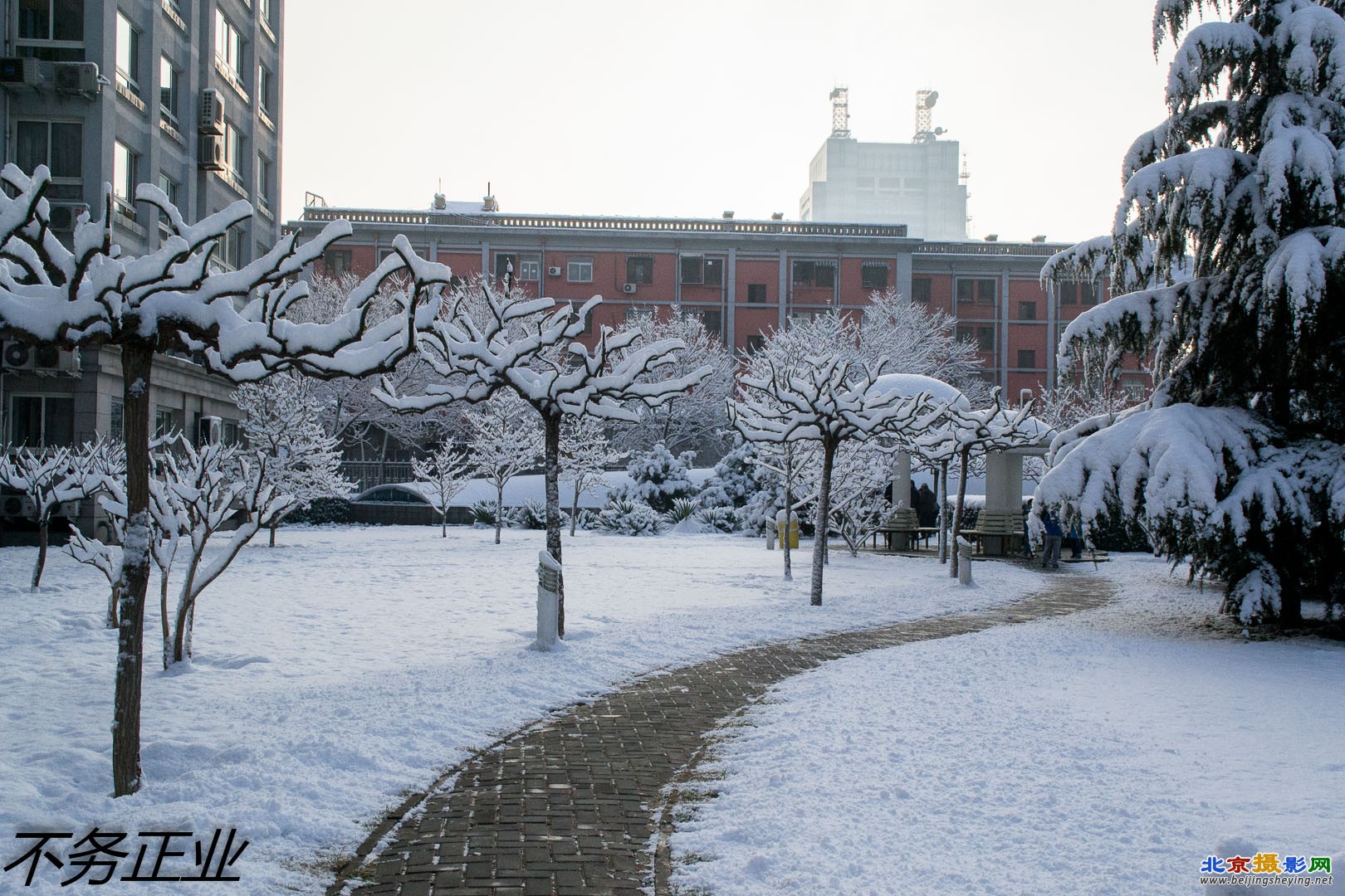 2013-3-20春雪 118.jpg