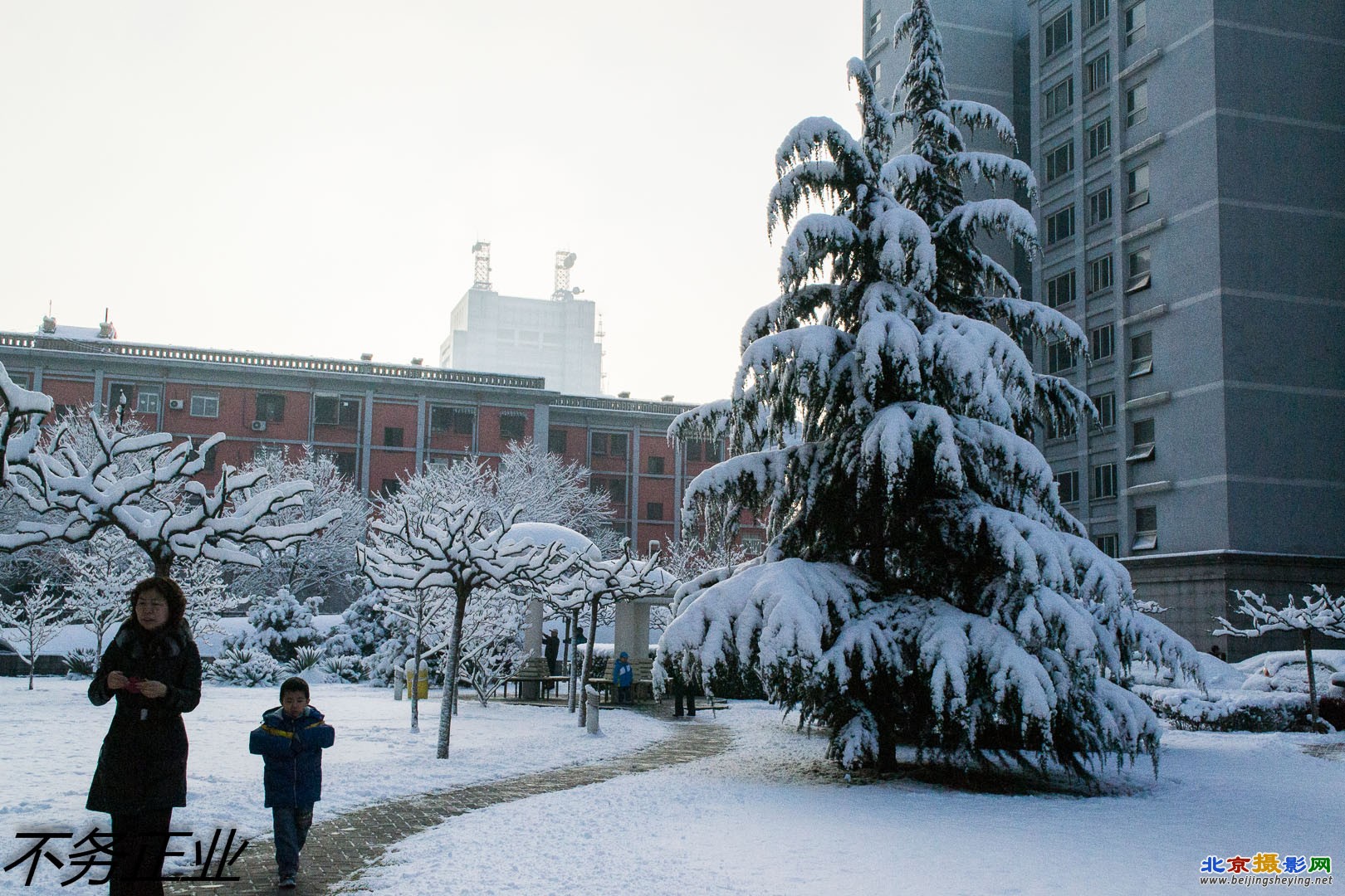 2013-3-20春雪 121.jpg