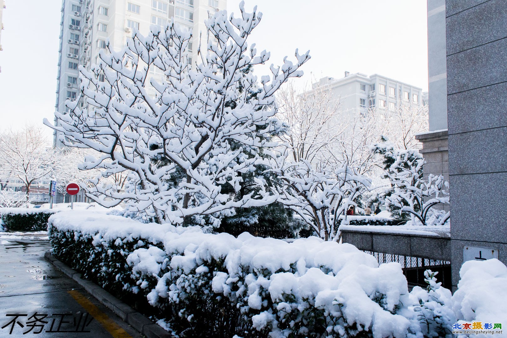 2013-3-20春雪 147.jpg