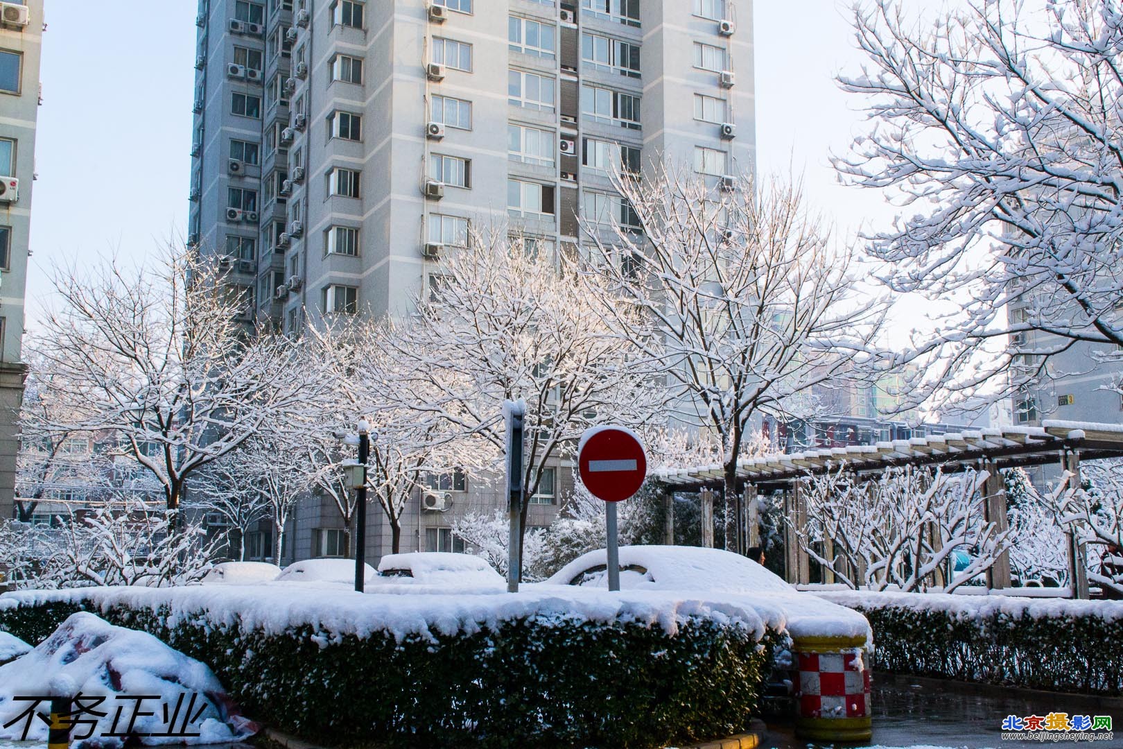 2013-3-20春雪 155.jpg