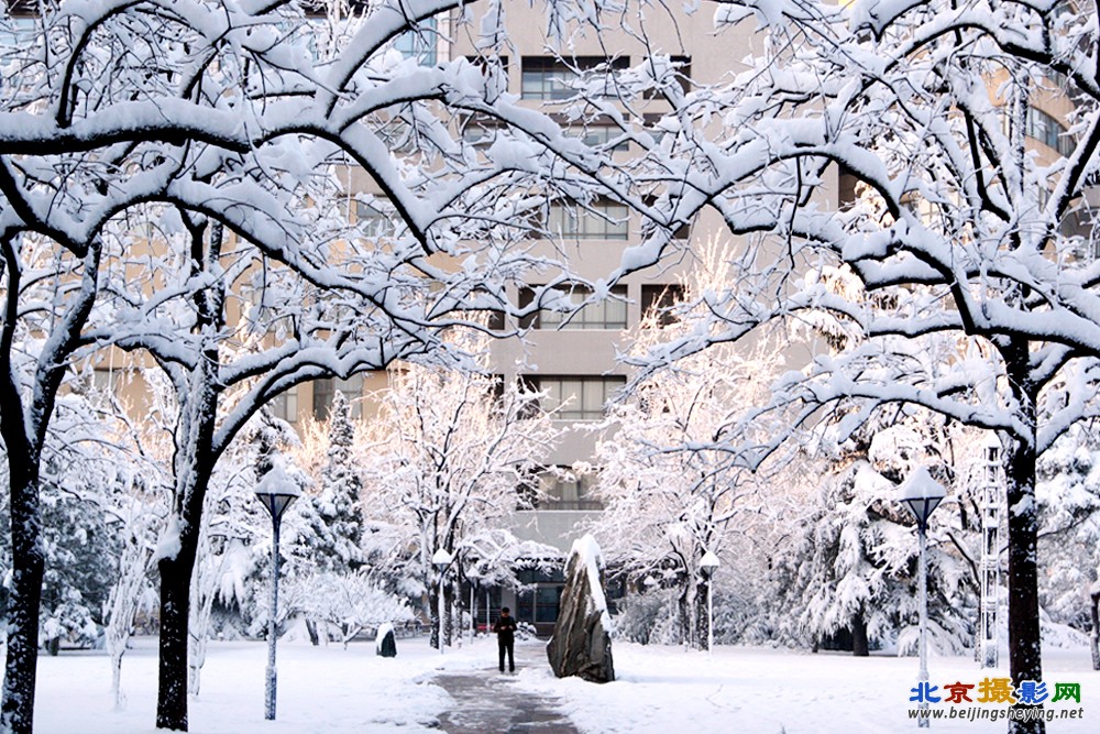 校园雪景_7017.jpg