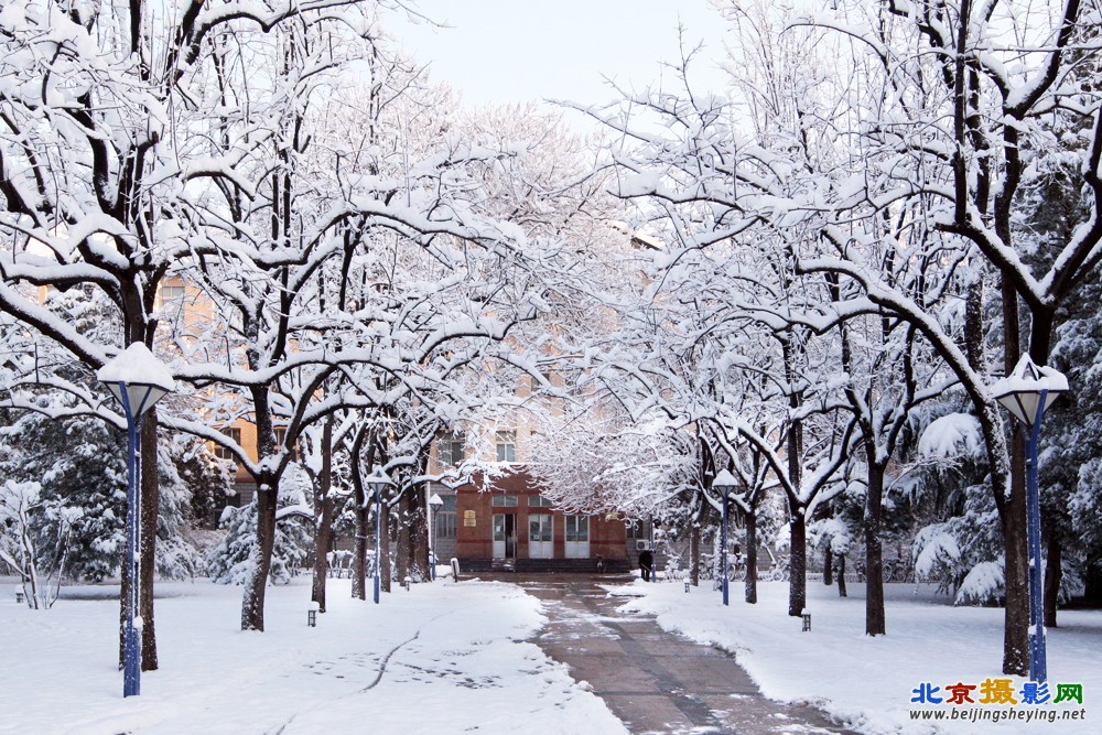 校园雪景_7025.jpg