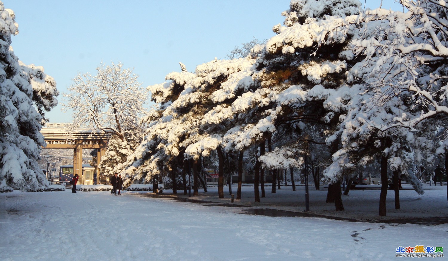 校园雪景_7028.jpg