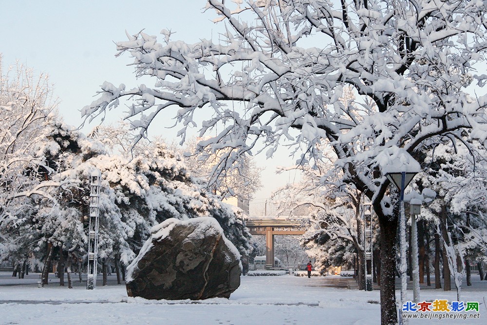 校园雪景_7038.jpg