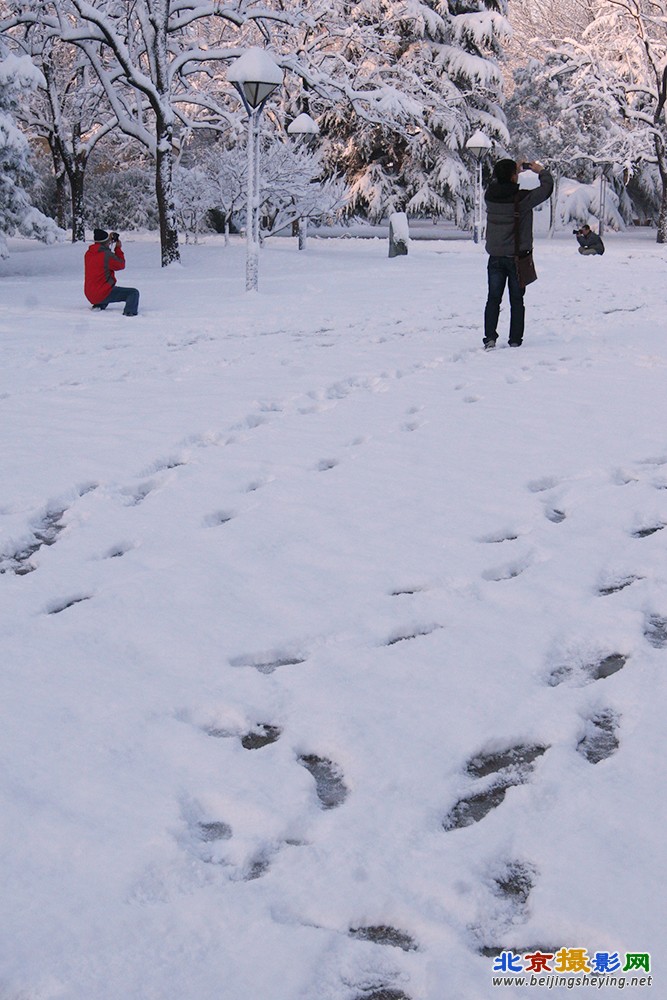 校园雪景_7039.jpg