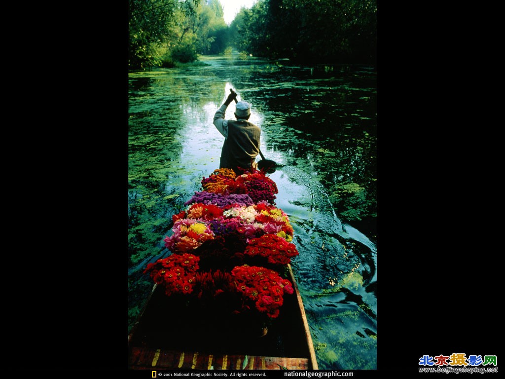 Dal Lake, India.jpg