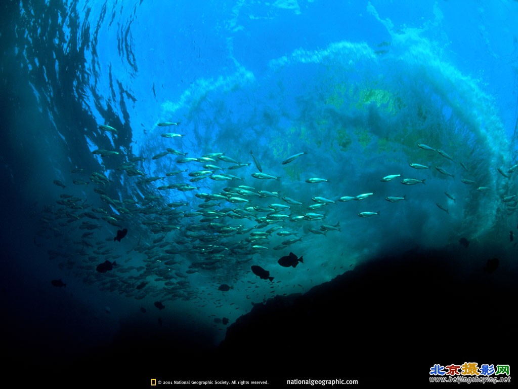 Darwin Island, Galápagos Islands, Ecuador.jpg