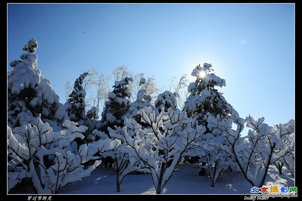 穿过雪的光.jpg