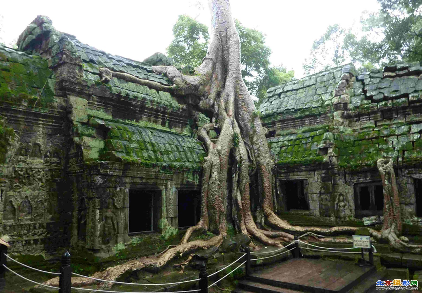 270911_Ta Prohm (5)-1.jpg