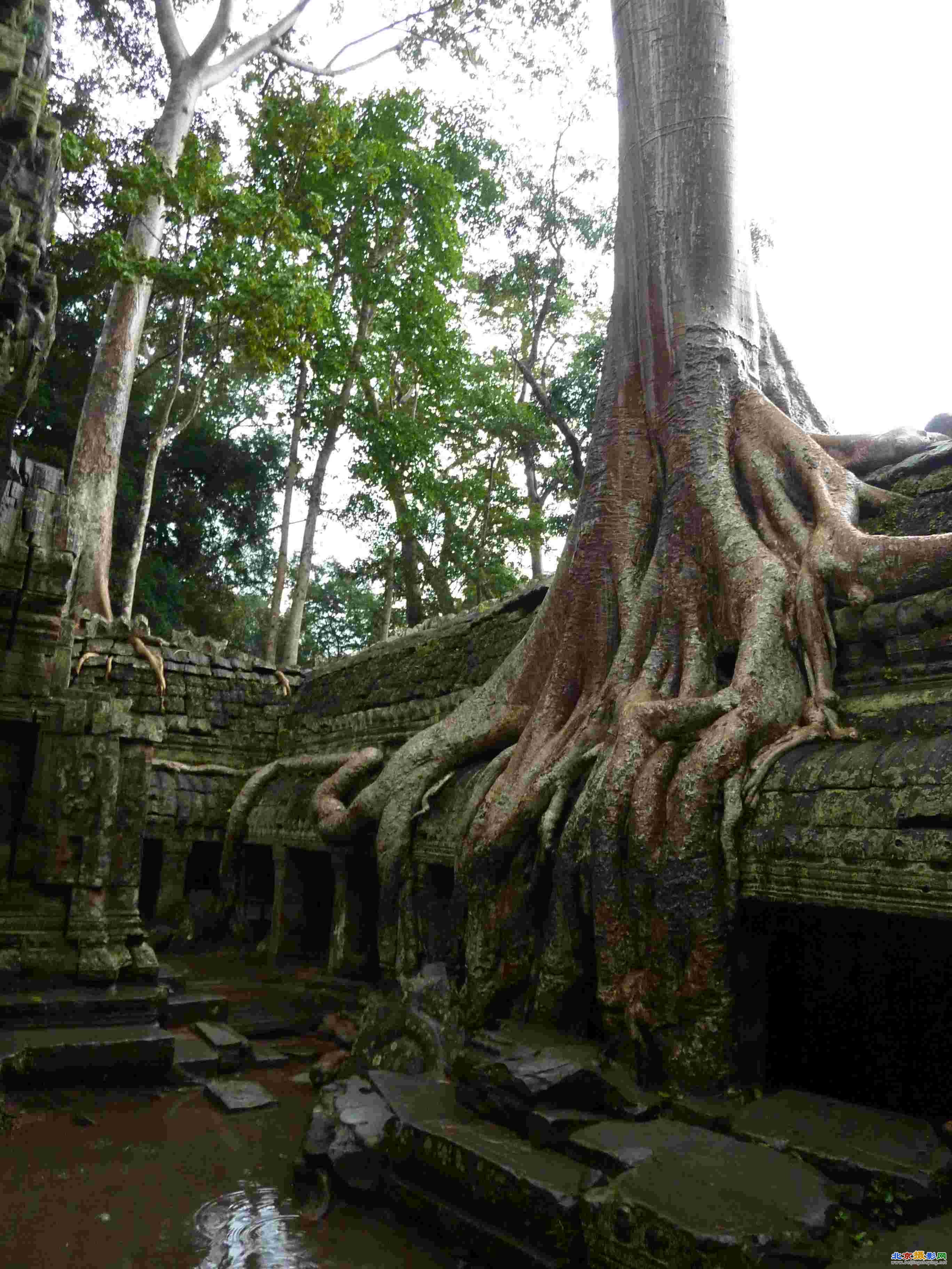 270911_Ta Prohm (27).JPG