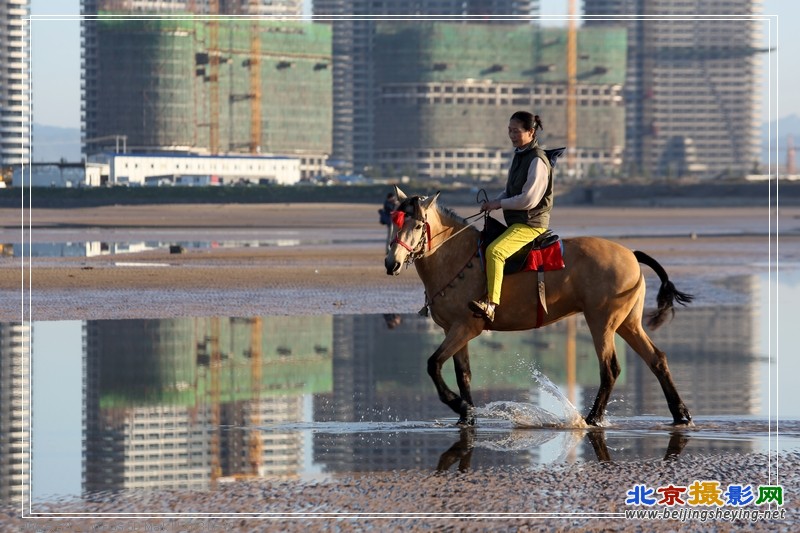 201306012东戴河 453.jpg