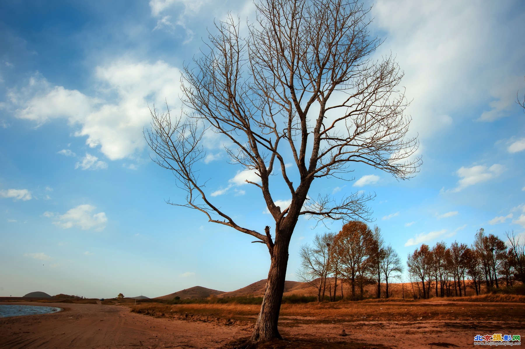 DSC_4240-1_tonemapped.jpg