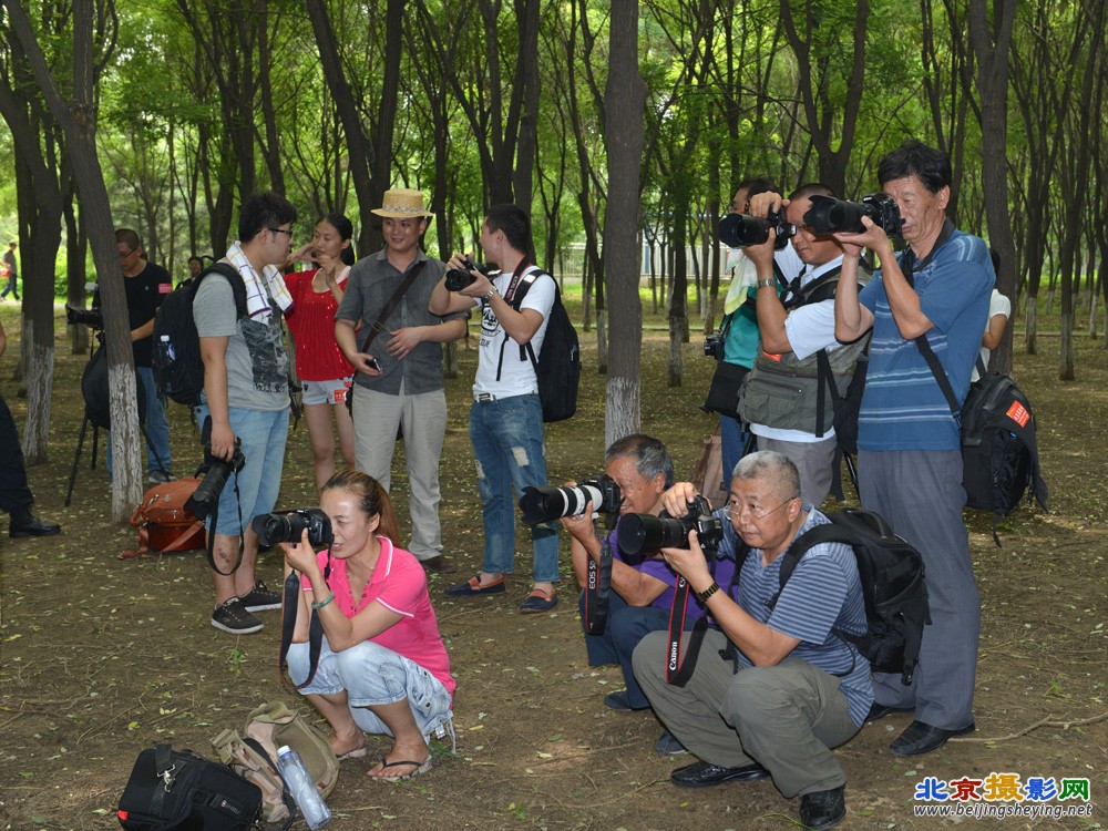 20130714-奥森向日葵园活动花絮 (9).jpg