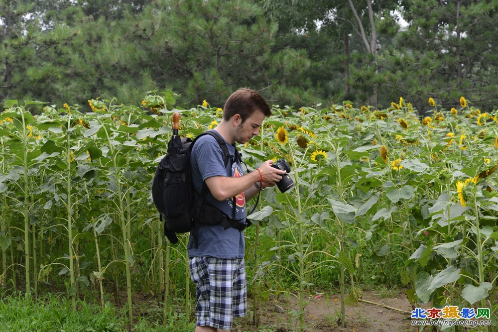 20130714-奥森向日葵园活动花絮 (12).jpg