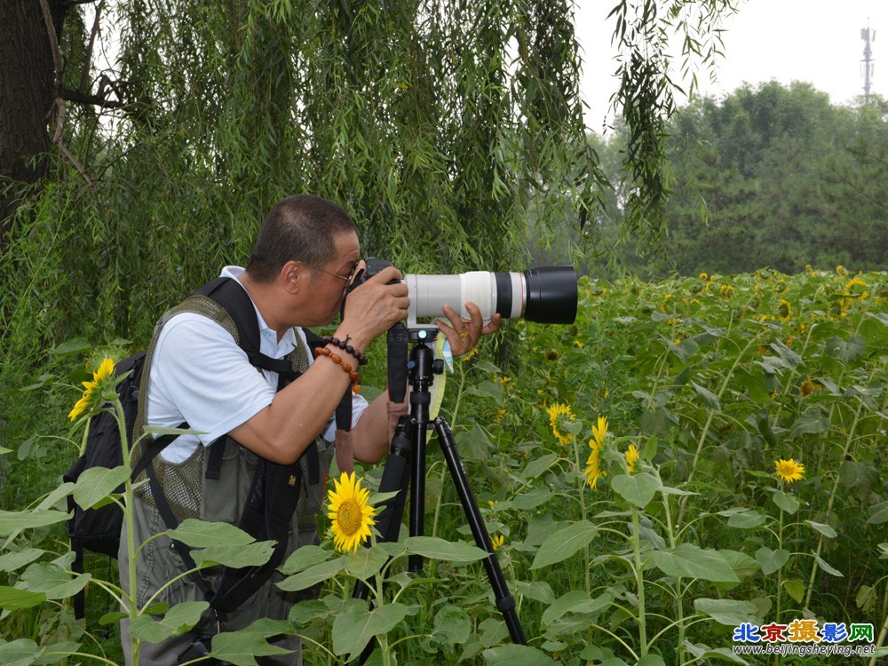 20130714-奥森向日葵园活动花絮 (14).jpg