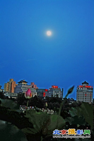 IMG_9051 - 复制.JPG