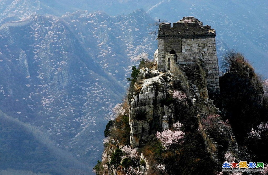 山花烂漫