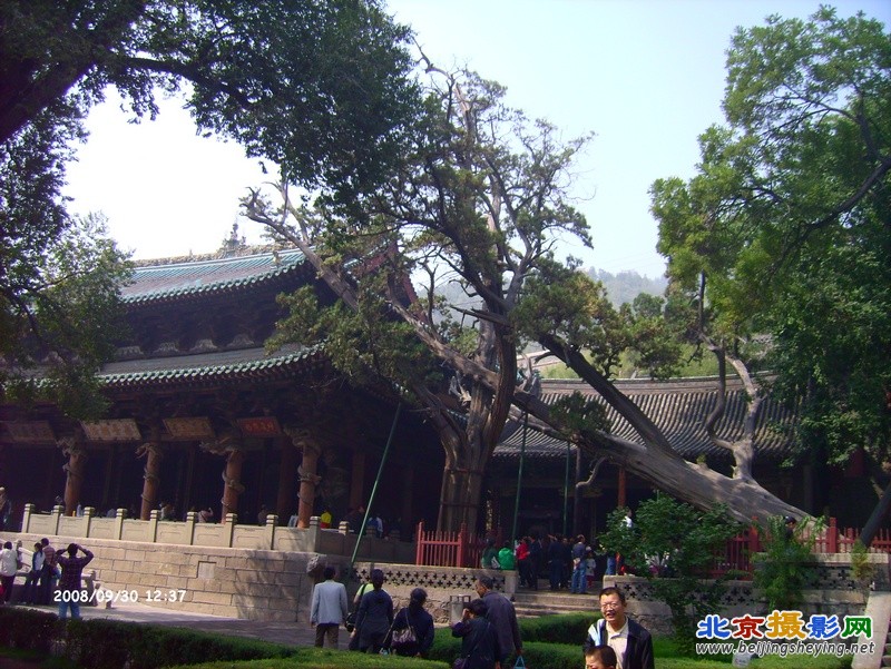 2008-9-30太原晋祠 (8).JPG