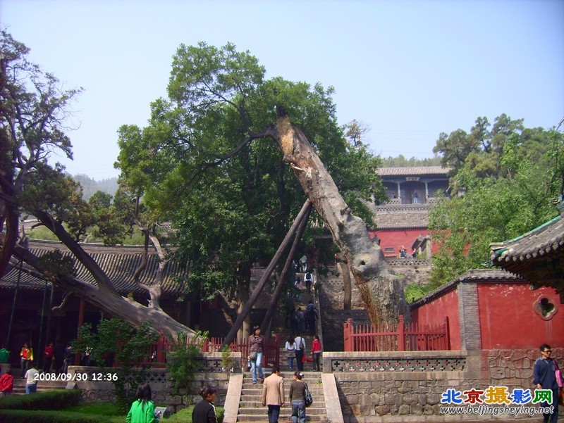 2008-9-30太原晋祠 (7).JPG