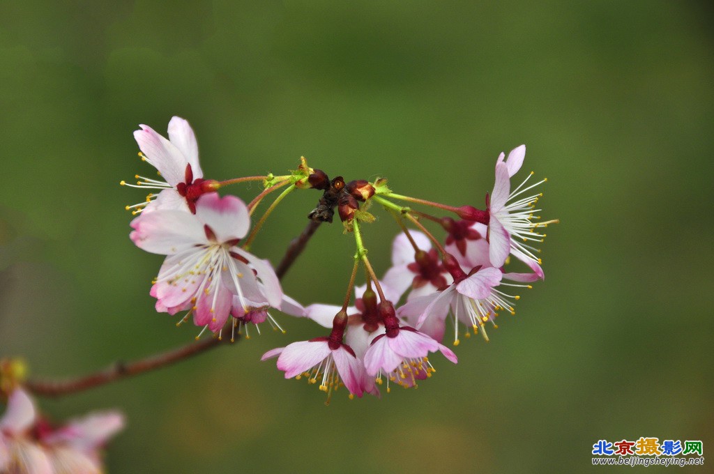 _DSC0812-1_调整大小.jpg