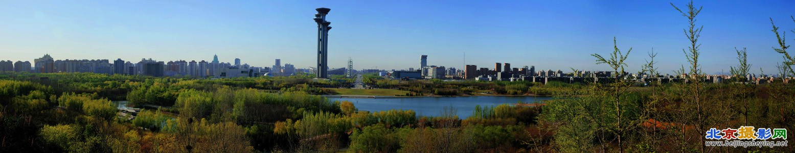 北京新景